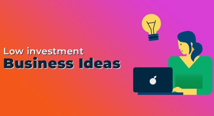 Lowest Investment Online Business