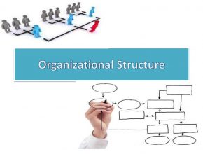 organizationalstructureppt 120821070841 phpapp02 thumbnail 4