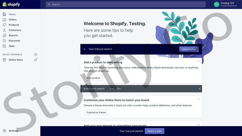 Step 2: Set up Your Shopify Online Store