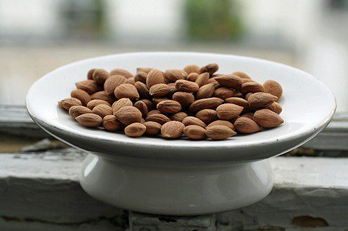 Toasted Apricot Seeds in a white plate Toasted Apricot Seeds in a white plate