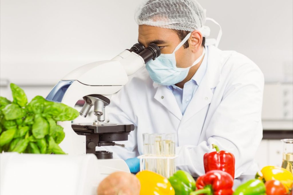 Food Technologist Food Technologist