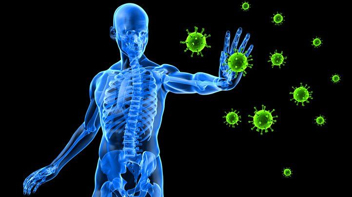 Immune System Immune System