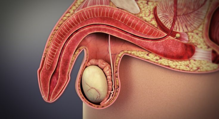 erectile dysfunction erectile dysfunction