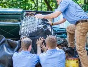 Junk Removal Service Junk Removal Service