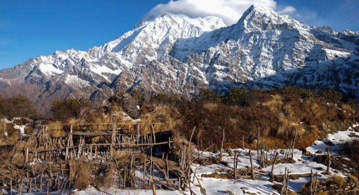 IMG 20220411 230338 2