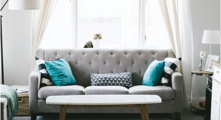 Furnishing Your Home Like A Pro Here Is What You Need To Know Furnishing Your Home Like A Pro - Here Is What You Need To Know
