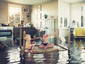 What are the Benefits of Hiring Professional Water and Flood Damage Cleanup What are the Benefits of Hiring Professional Water and Flood Damage Cleanup