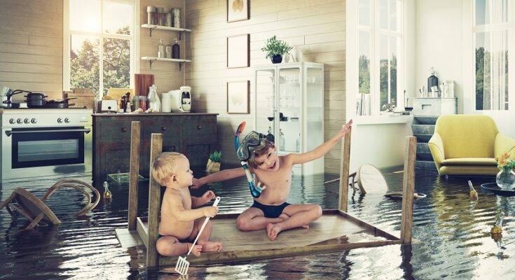 What are the Benefits of Hiring Professional Water and Flood Damage Cleanup What are the Benefits of Hiring Professional Water and Flood Damage Cleanup