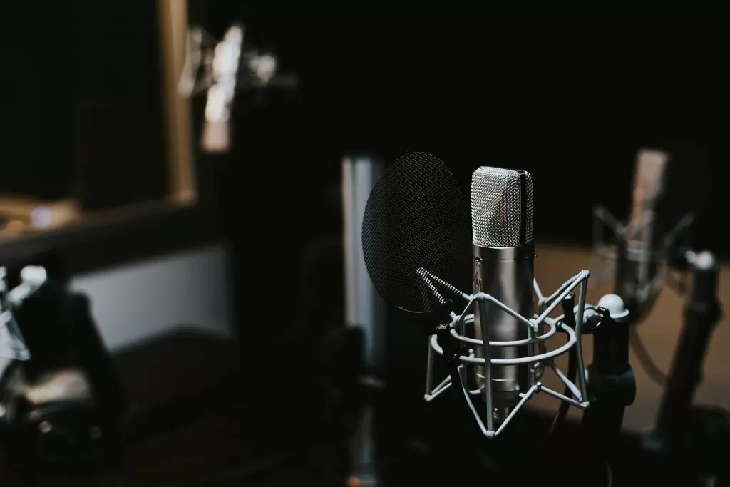 0 ZyuXLppiykhzU6pw Perfect Voiceover Artist