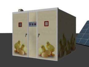 solar incubator 500x500 1 The Capacity Range of Solar Incubator