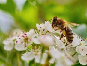 WhatsApp Image 2022 08 20 at 4.51.36 PM