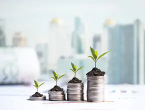 bigstock The Tree Growing On Money Coi 328929130 Companies