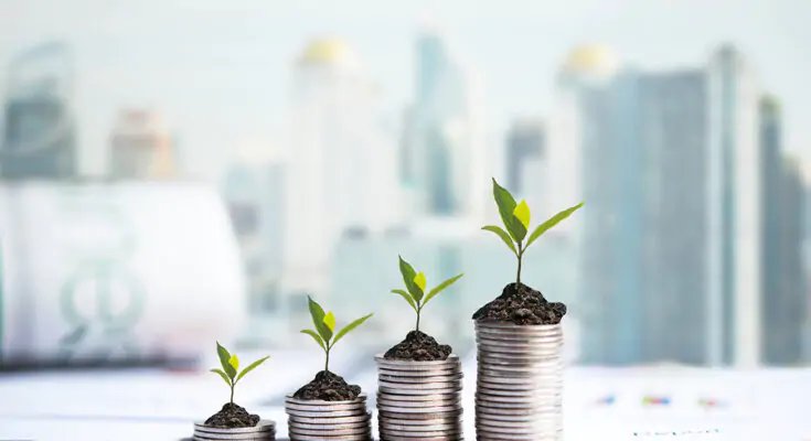 bigstock The Tree Growing On Money Coi 328929130 Companies