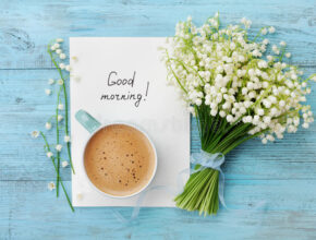 Good Morning Good Morning