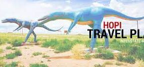 hoptraveler hoptraveler