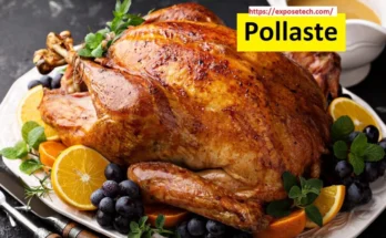 Pollaste