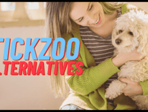 tickzoo tickzoo
