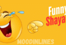 Moodinlines 2
