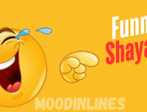 Moodinlines 2 Moodinlines 2