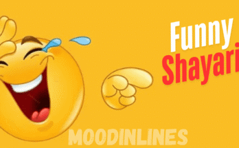 Moodinlines 2