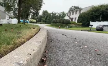 Hillsdale NJ Earthquake Shakes NYC Hillsdale NJ Earthquake Shakes NYC