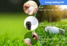 Customized Golf Ball